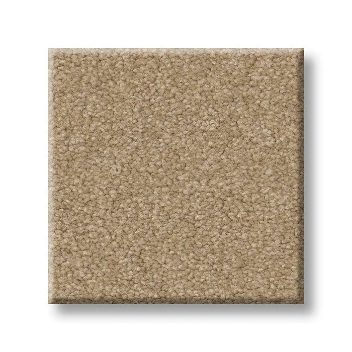 Couture' Collection Ultimate Expression 12' Stucco 00110