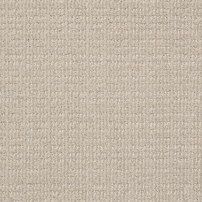 Foundations Sensible Now Nylon Studio Taupe 00173