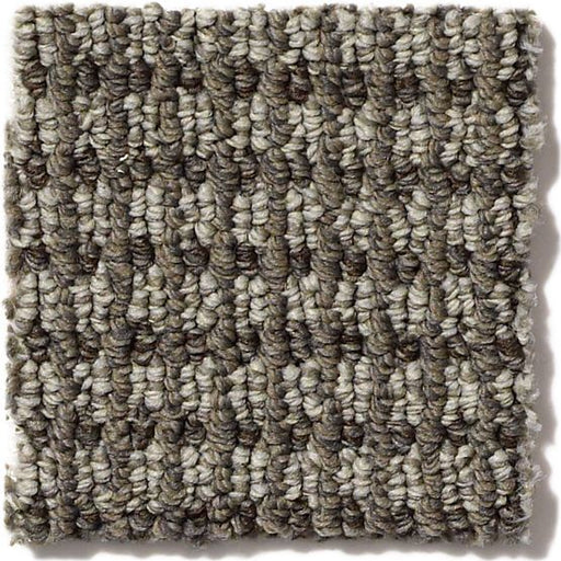 Pet Perfect Abbey's Road Stylish Gray 00573