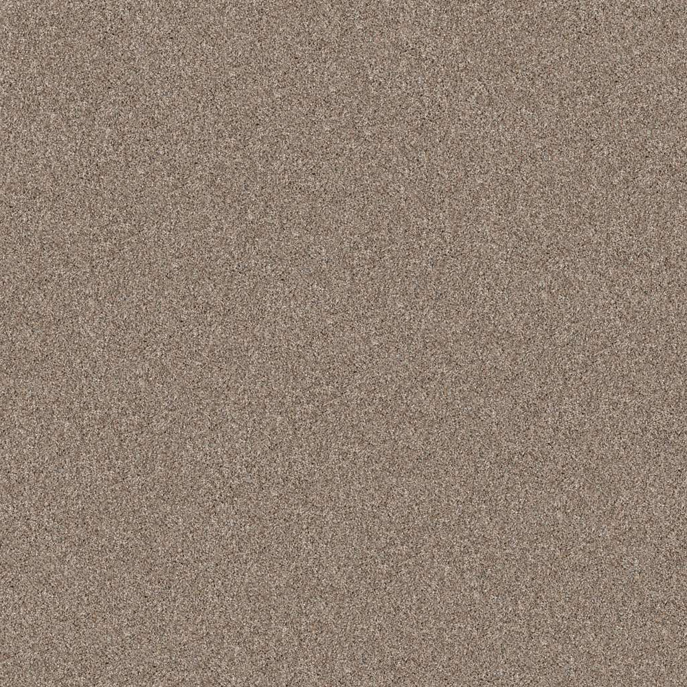 Pet Perfect Yes You Can I 12' Subtle Clay 00114