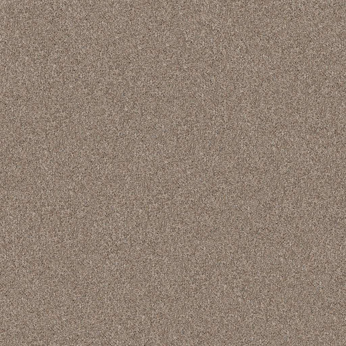 Pet Perfect Yes You Can I 15' Subtle Clay 00114