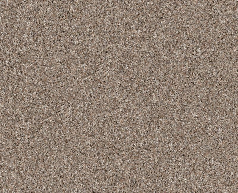 Shaw Yes You Can Ada III 15' 00114 Subtle Clay Polyester Carpet — Stone ...