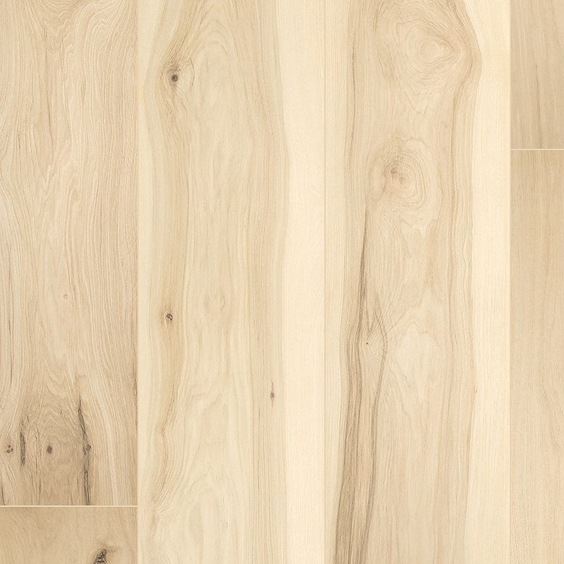 Pergo Elements Prestano Sugared Hickory 01