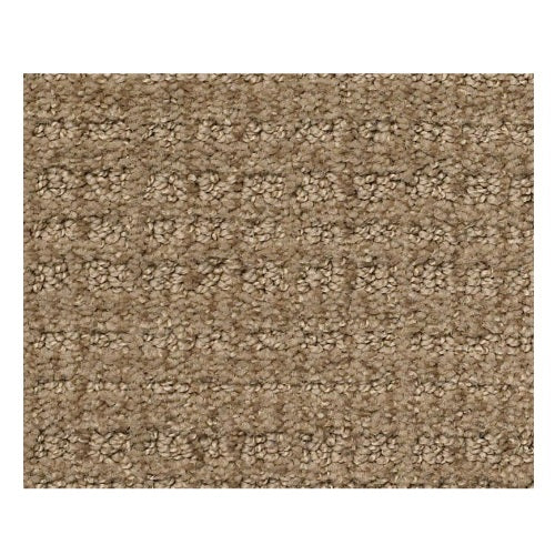 Shaw SC Beach 00776 Summerville Pattern Nylon Carpet Lowest Price
