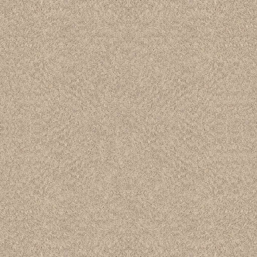 Foundations Alluring Canvas Sun Kissed 00110
