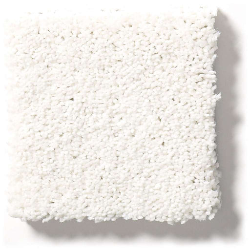 Pet Perfect Plus Basic Rules Super Fine 00100