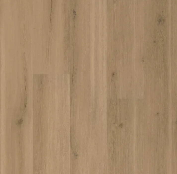 Adura MaxUS (MAXUS) Swiss Oak Truffle MAX742