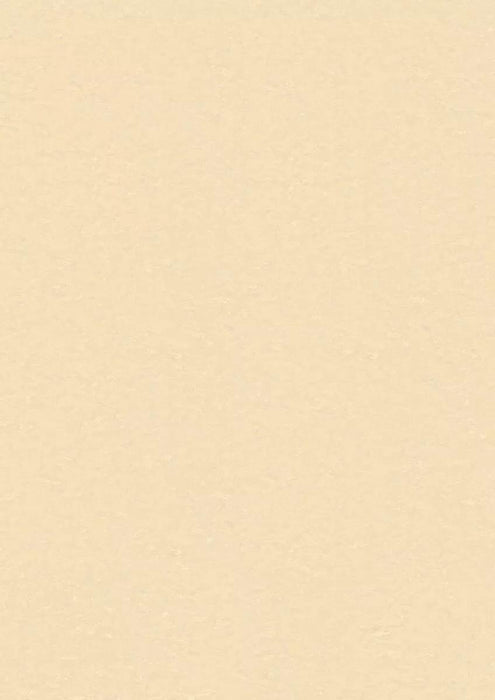 LinoFloor xf2 Elle Pearl 14142401