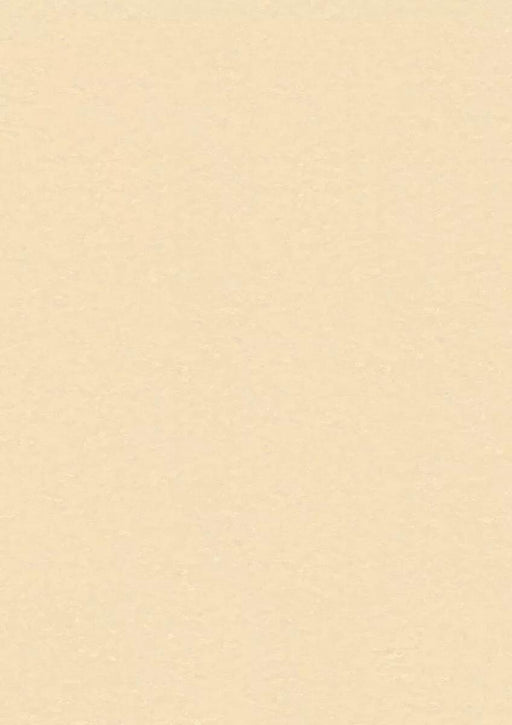 LinoFloor xf2 Elle Pearl 14142401