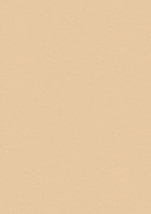 LinoFloor xf2 Elle Raffia 14142408