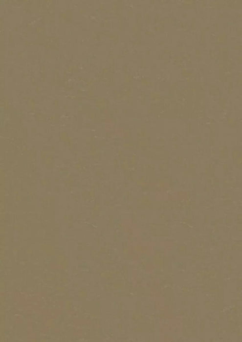 LinoFloor xf2 Elle Lichen 14142495