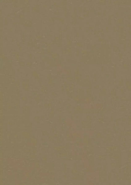 LinoFloor xf2 Elle Lichen 14142495