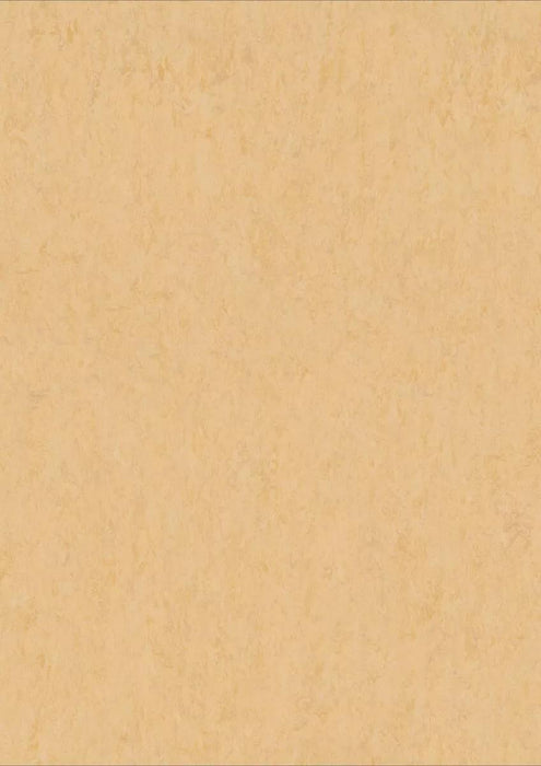 LinoFloor xf2 Elle Eggshell 14172619