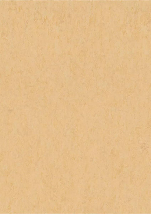 LinoFloor xf2 Elle Eggshell 14172619