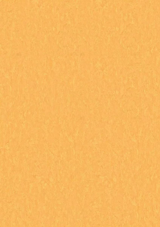 LinoFloor xf2 Elle Sunflower 14172628