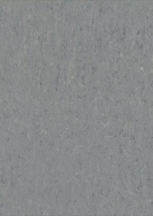 LinoFloor xf2 Elle Zinc 14172671