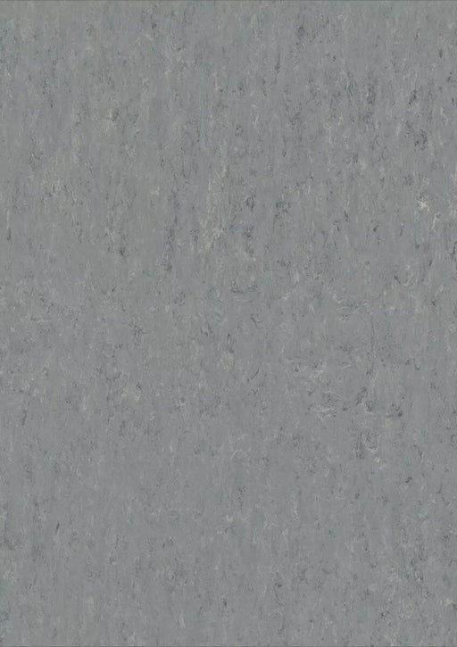 LinoFloor xf2 Elle Zinc 14172671