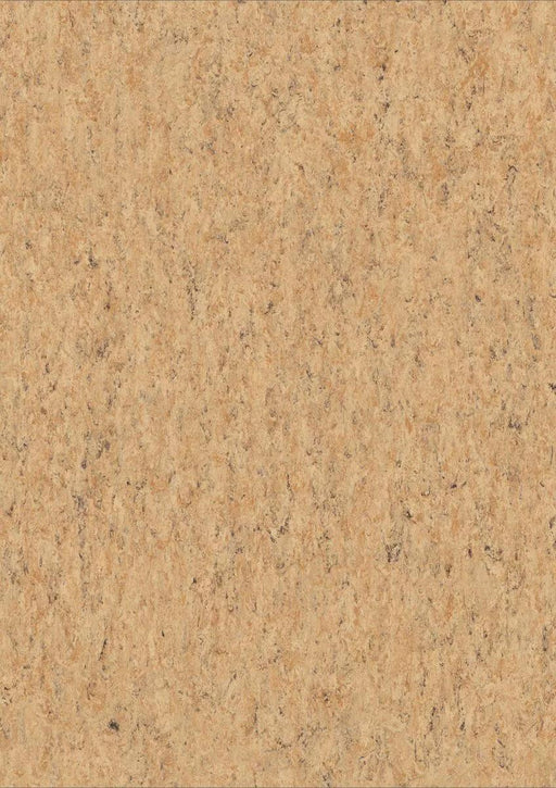 LinoFloor xf2 Elle Cork 14172679