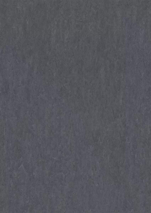 LinoFloor xf2 Elle Concrete 14172686