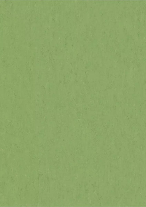 LinoFloor xf2 Elle Apple Green 14172754