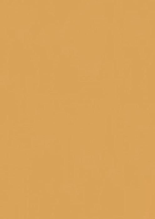 LinoFloor xf2 Elle Honey 14177012