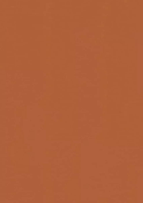 LinoFloor xf2 Elle Ginger 14177038