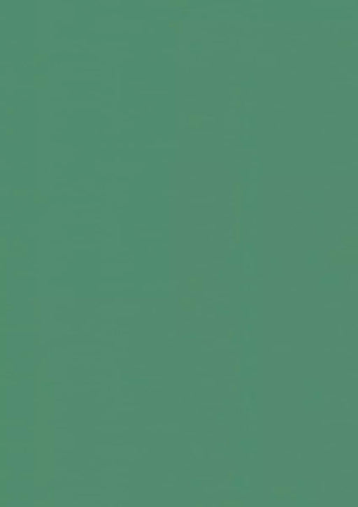 LinoFloor xf2 Elle Basil 14177056