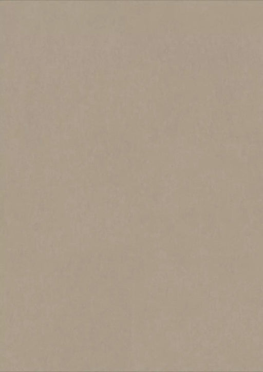 LinoFloor xf2 Elle Cenere 14235201