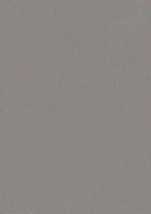 LinoFloor xf2 Elle Cemento 14235202