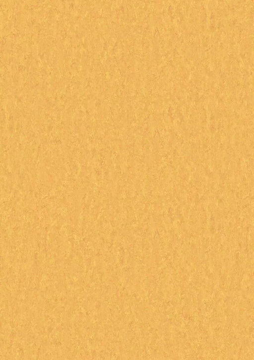 LinoFloor xf2 Elle Gold 14235728