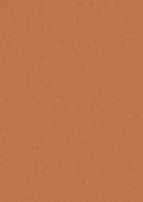 LinoFloor xf2 Elle Fox 14235734