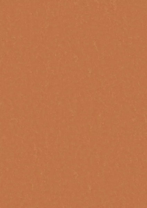 LinoFloor xf2 Elle Fox 14235734