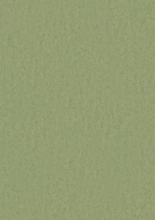 LinoFloor xf2 Elle Pear 14235753