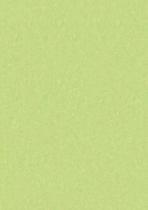 LinoFloor xf2 Elle Mojito 14235755