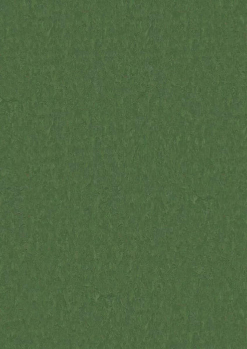 LinoFloor xf2 Elle Pine 14235796