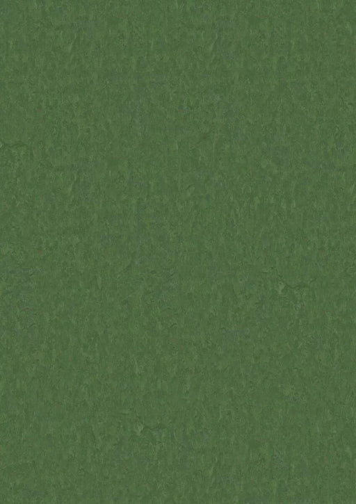 LinoFloor xf2 Elle Pine 14235796