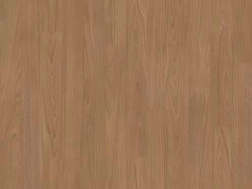 Performa Urban Ash Satin Wood 213002014