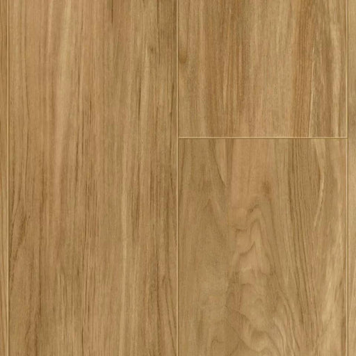 Acczent Cabrueva Red 25030000