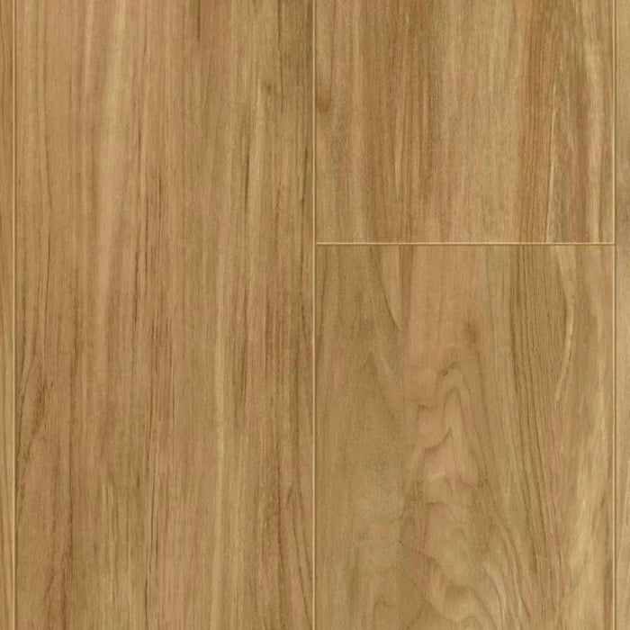 Acczent Cabrueva Red 25030000