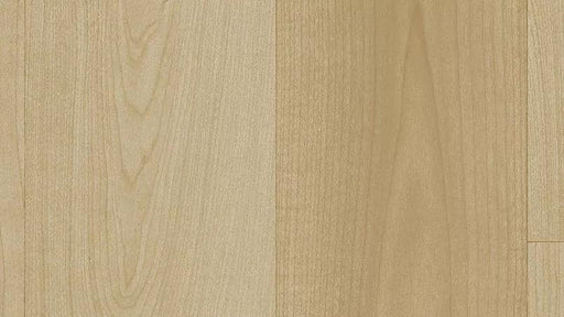 Acczent Modern Maple Maple 25128141
