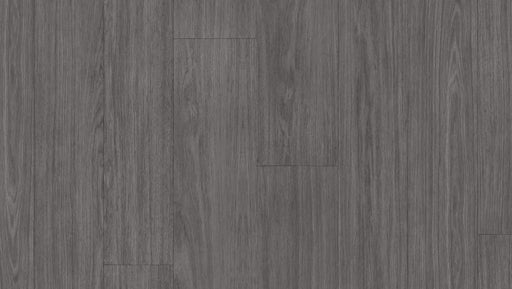 Acczent Serene Oak Medium Grey 25204508