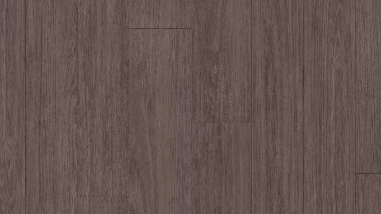 Acczent Serene Oak Brown Grey 25204509
