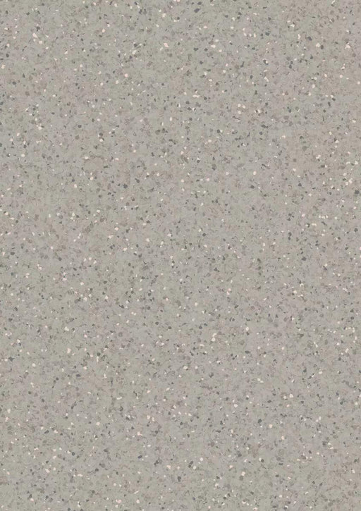 Aria Silver Fox 21010600