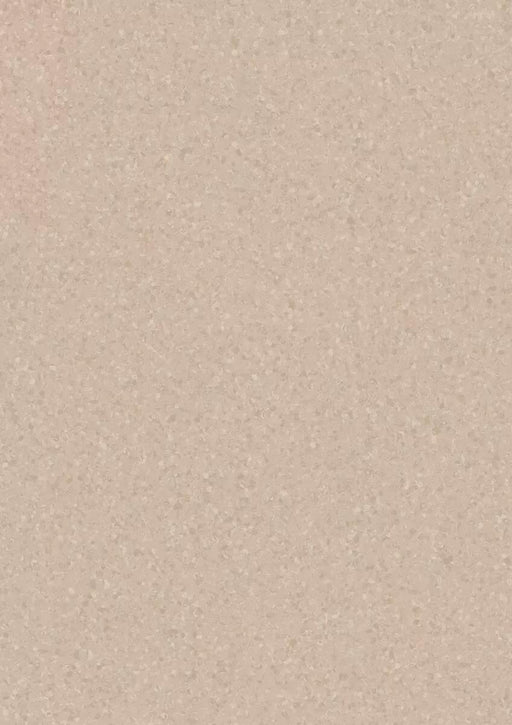 Melodia Sand Dollar 21020973