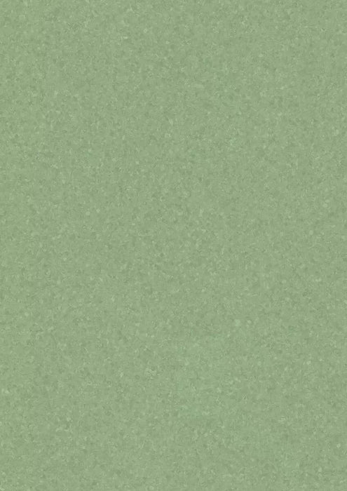 Melodia Aloe Plant 21020976