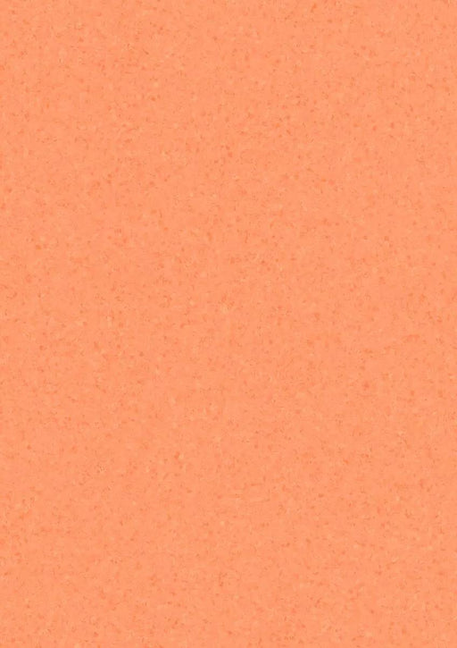 Melodia Orange Marigold 314032784