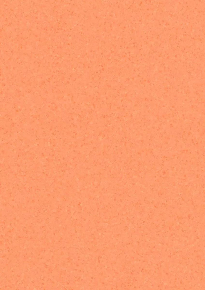 Melodia Orange Marigold 21020784