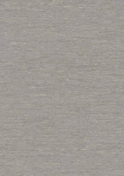 iQ Optima Koala Bear 3242873