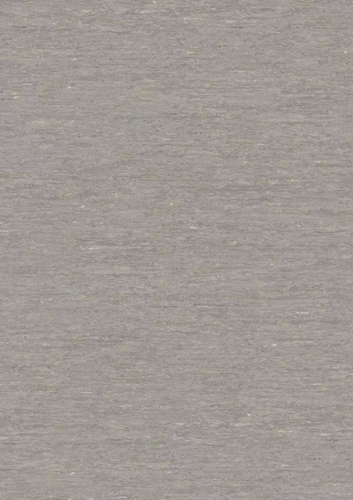 iQ Optima Koala Bear 3242873