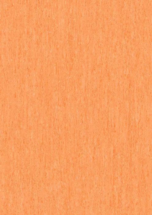 iQ Optima Tiger Glow 3242257